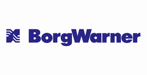 41._BORGWARNER